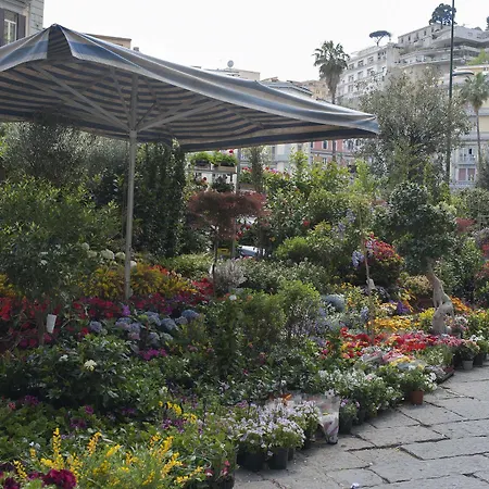 Bed & Breakfast Areamare Naples