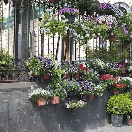 Areamare Bed & Breakfast