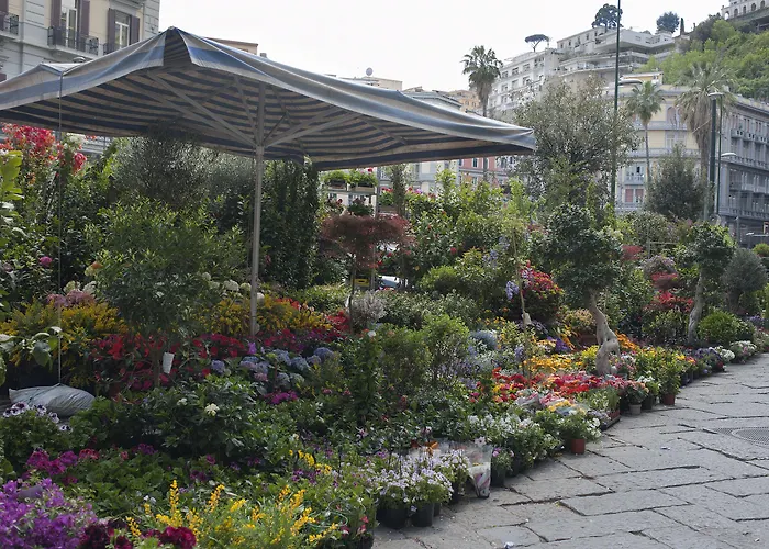 滨海区酒店 4* 那不勒斯