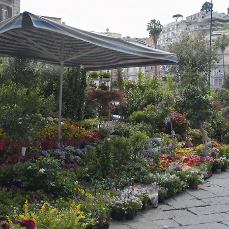 Areamare 4* Νάπολη